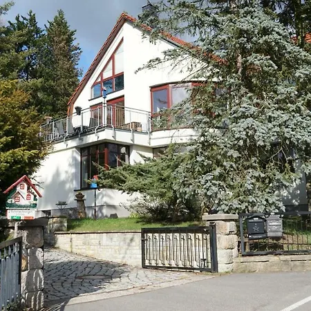 Ferienwohnung Frenzel Kurort Gohrisch Exterior foto