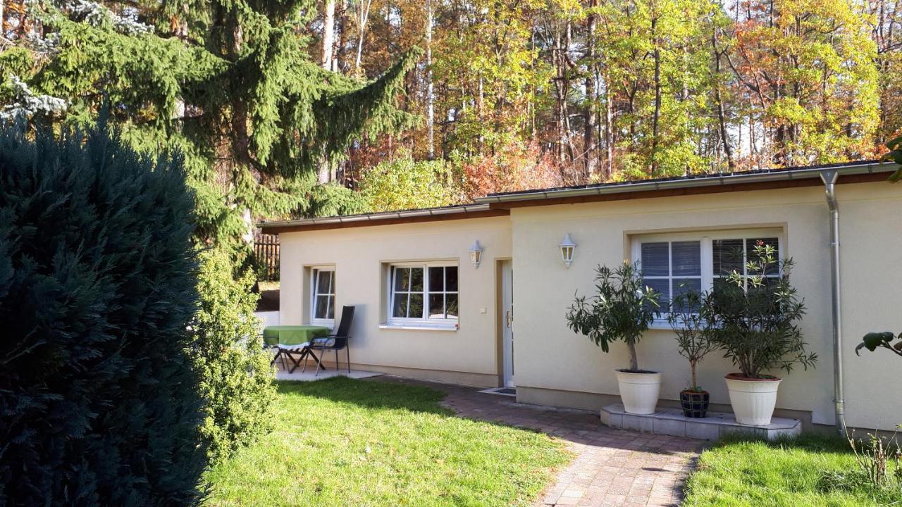 Appartamento Frenzel Kurort Gohrisch